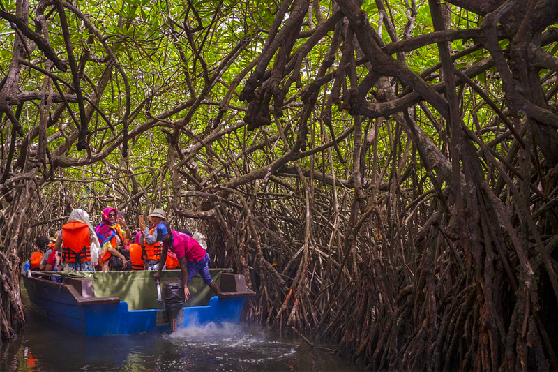 DAY 10 - TURTLE HATCHERY VISIT | MADU RIVER SAFARI | GALLE FORT VISIT (FULL DAY ACTIVITY) 