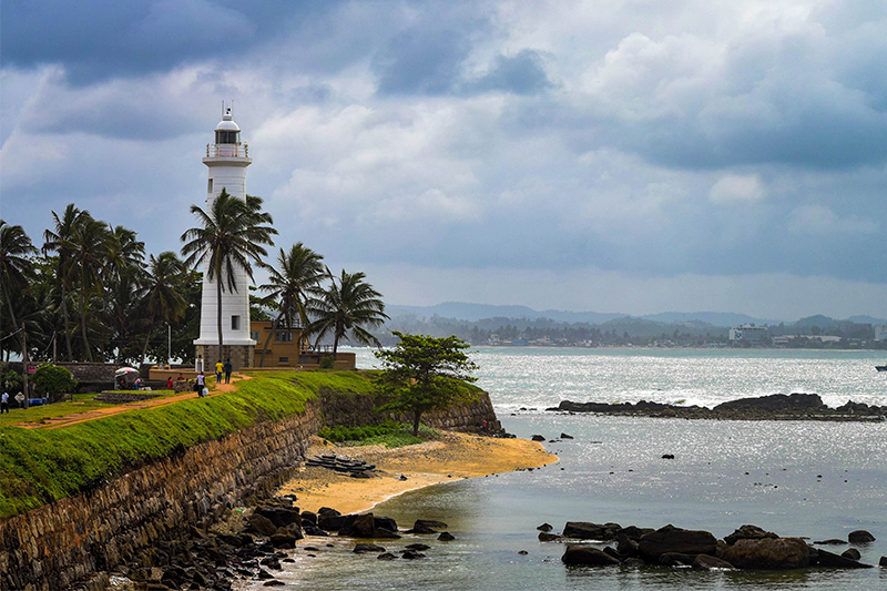 DAY 11 - MIRISSA WHALE WATCHING | GALLE DUTCH FORT (APPROX.TRAVEL TIME 1 HRS)