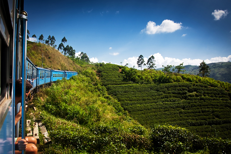 DAY 08 - NUWARA ELIYA | TRAIN JOURNEY | HAPUTALE OR ELLA (APPROX.TRAVEL TIME 2.5 HRS)