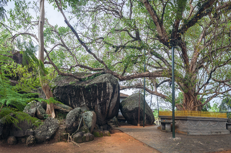 Day 03 - GALLE | EXCURSIONS 