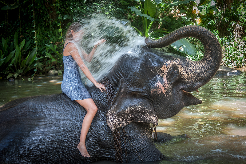 DAY 02 -  NEGOMBO | MILLENNIUM ELEPHANT FOUNDATION | SIGIRIYA (APPROX TRAVEL TIME 4 HRS)