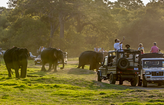 Day 05 - ANURADHAPURA | SIGIRIYA & MINNERIYA JEEP SAFARI ( APPROX. TRAVEL TIME 1 HR & 15 MIN)