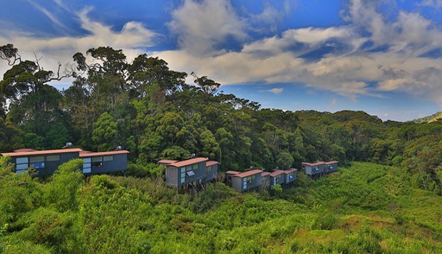 Sri Lanka Holidays | Sri Lanka Travel Agent | Sri Lanka Hotels